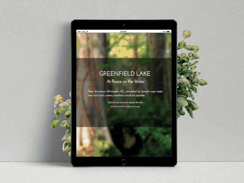ipad_scrolling_display